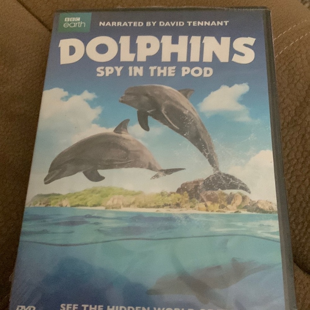 Dolphins spy in the pod dvd